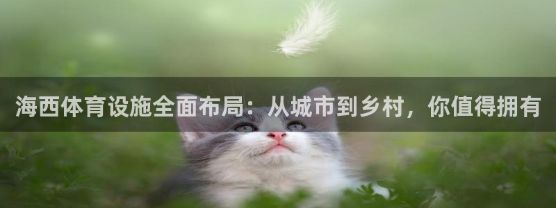 意昂5(KGAME)体育是干嘛的公司：海西体育设施全面布局：