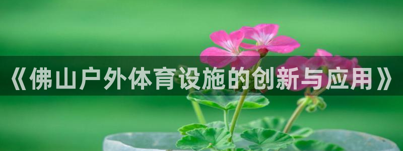 意昂5(KGAME)娱乐首页官网下载：《佛山户外体育设施的创