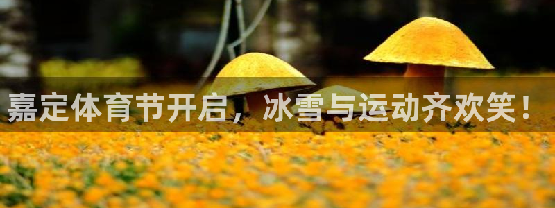 意昂5(KGAME)体育平台：嘉定体育节开启，冰雪与运动齐欢