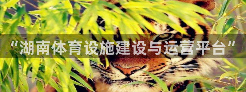 意昂集团官网：“湖南体育设施建设与运营平台”