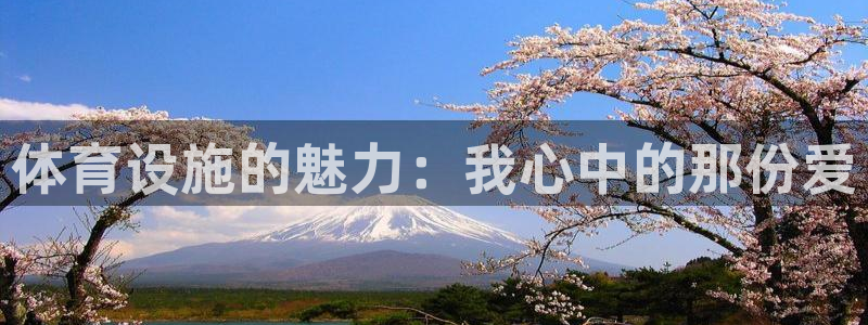 意昂5(KGAME)娱乐：体育设施的魅力：我心中的那份爱