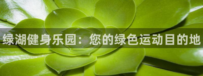 球客岛