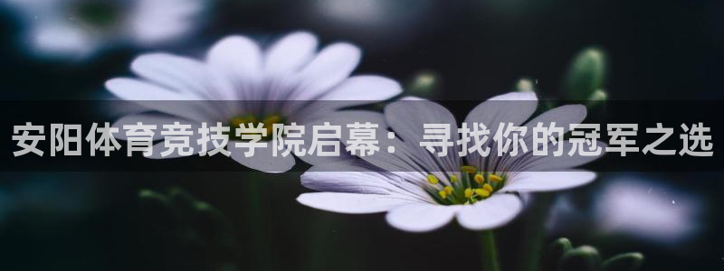 球客岛