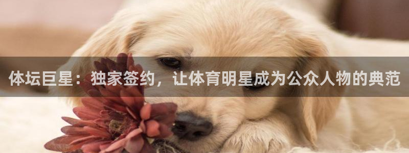 球客岛：体坛巨星：独家签约，让体育明星成为公众人物的典范
