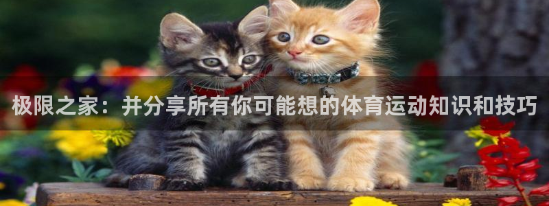 球客岛：极限之家：并分享所有你可能想的体育运动知识和技巧