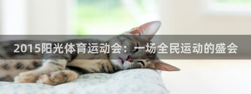 球客岛：2015阳光体育运动会：一场全民运动的盛会