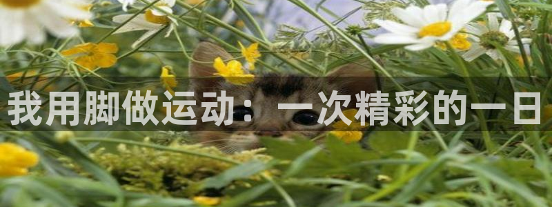 球客岛：我用脚做运动：一次精彩的一日