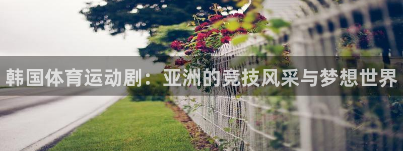 球客岛：韩国体育运动剧：亚洲的竞技风采与梦想世界