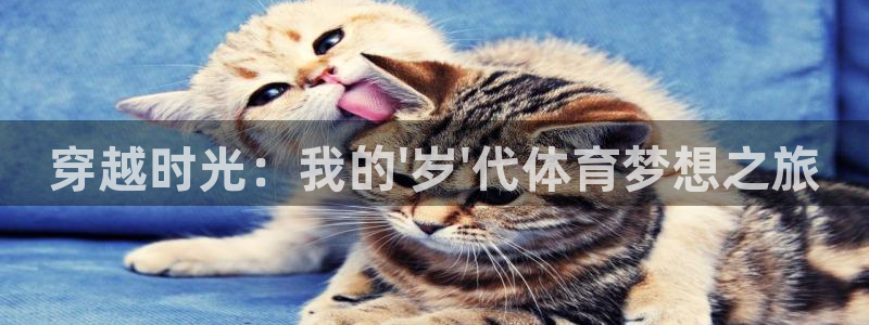 球客岛：穿越时光：我的\'岁\'代体育梦想之旅